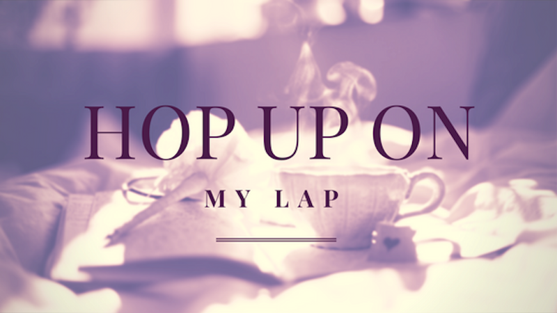 A Kiss from Heaven – Hop Up on My Lap