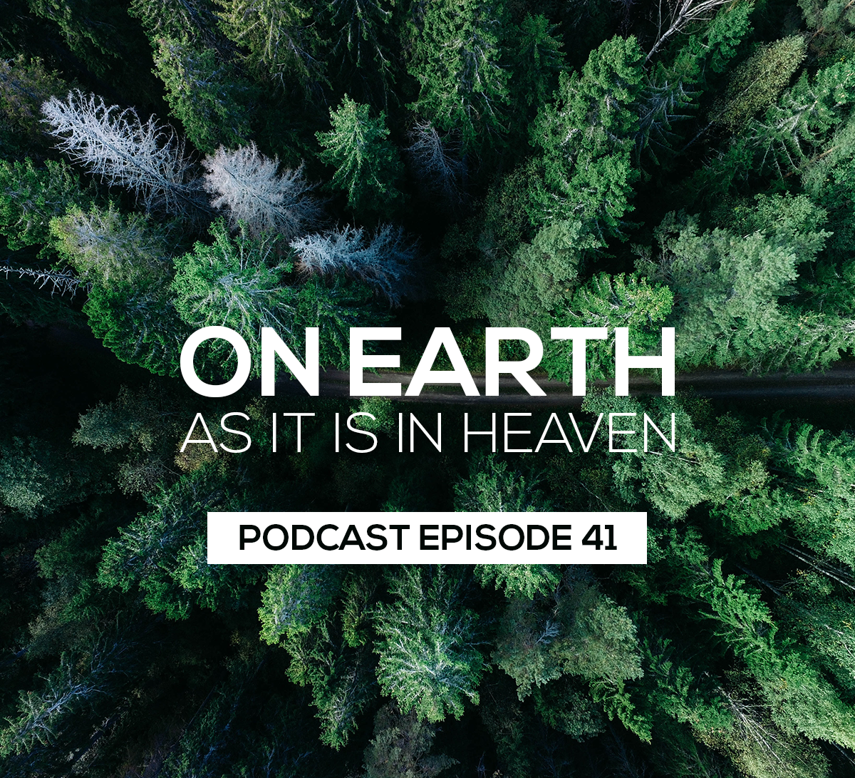 Episode 41: On Earth As It Is In Heaven