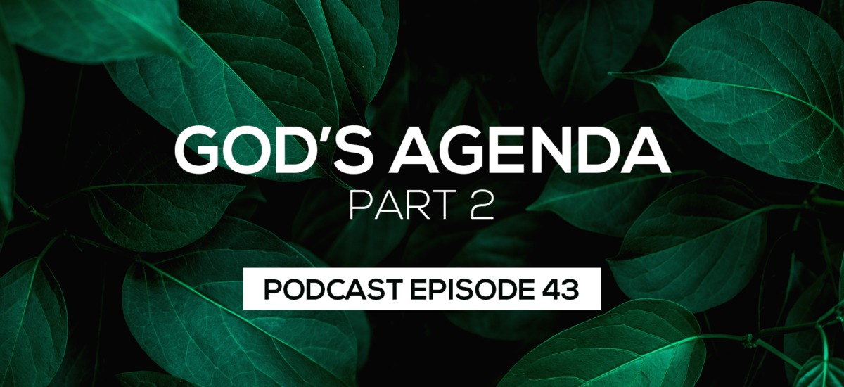 Episode 43: God’s Agenda Part 2