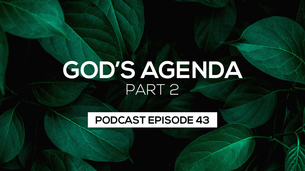 Episode 43: God’s Agenda Part 2